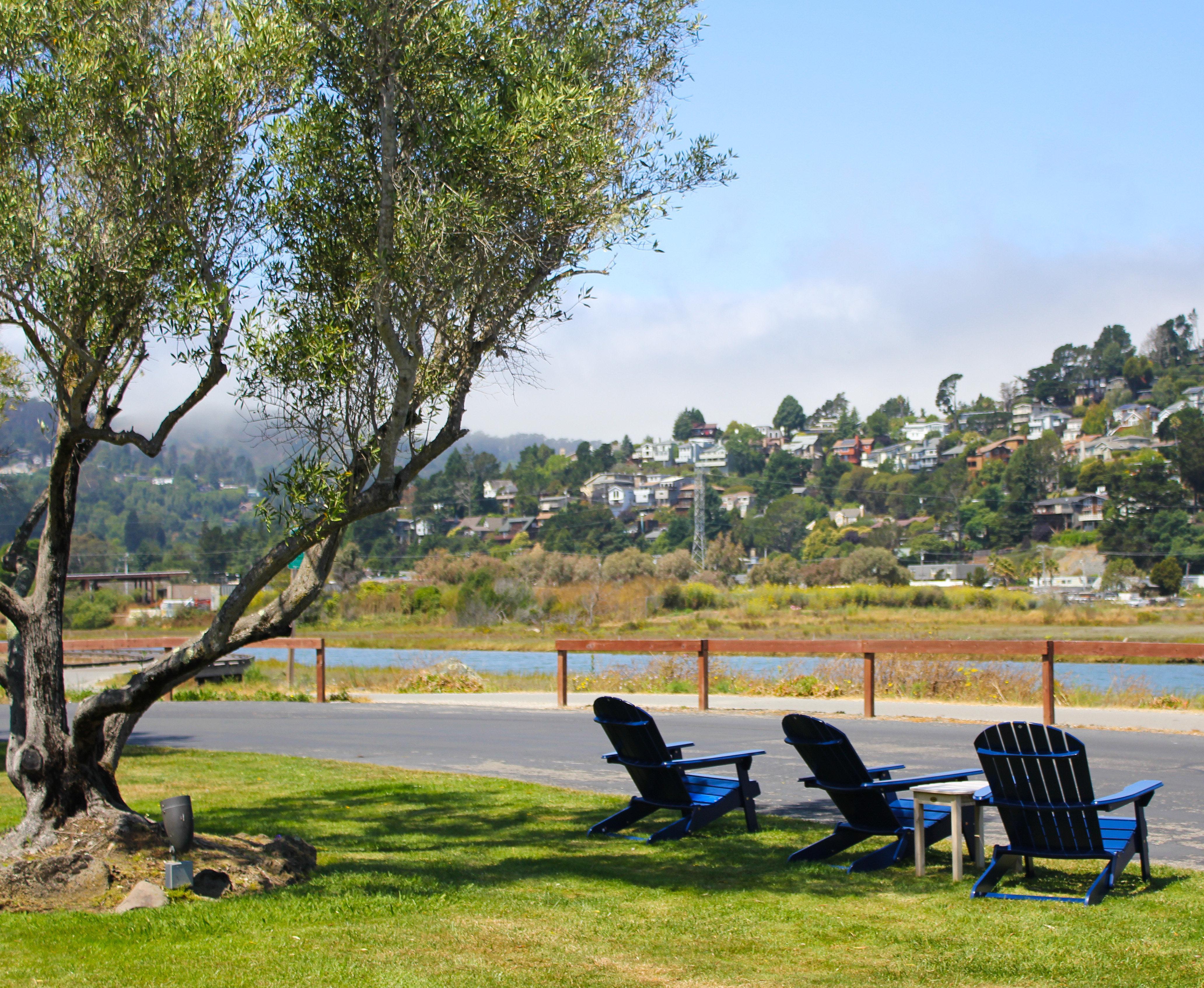 Holiday Inn Express Mill Valley San Francisco Area By Ihg Exterior foto